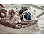 Reversible Blanket Wildflower for Dogs