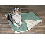 Reversible Blanket Wildflower for Dogs