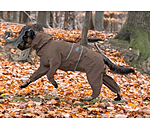 Allover Dog Rain Jacket Sequoia II, 0g