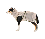 Fly Protection Coat Taiga for Dogs