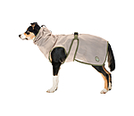 Fly Protection Coat Taiga for Dogs