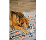 Rope Toy Jack for Dogs