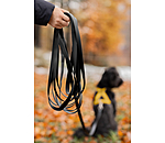 Waterproof Riding Companion Dog Lead Ginny