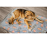 Dog Blanket Glow in the Dark