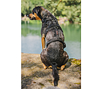 Safety Harness Irmi for dogs