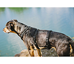 Safety Harness Irmi for dogs