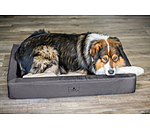 Dog Bed Ohio