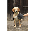 Dog Grooming Glove Cosma