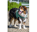 Cooling Vest Refresh for Dogs