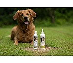 Dog Shampoo Sensitive Care