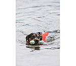 Water Toy Marble Bone for Dogs