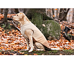 Soft Shell Reversible Dog Gilet Willa, 80g