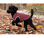 Soft Shell Reversible Dog Gilet Willa, 80g