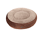 Memory Foam Dog Bed Quincy
