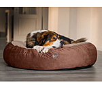 Memory Foam Dog Bed Quincy