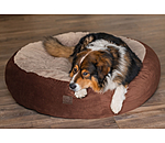 Memory Foam Dog Bed Quincy