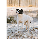Squeaky Dog Toy Unicorn
