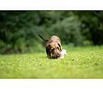 Squeaky Dog Toy Unicorn