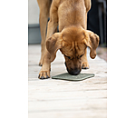 Dog Lick Mat Classic Line