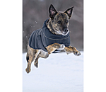 LED Quilted Dog Jacket Arlo, 300g