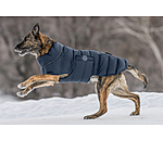 LED Dog Quilted Jacket Arlo, 300g