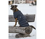 LED Quilted Dog Jacket Arlo, 300g