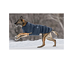 LED Quilted Dog Jacket Arlo, 300g