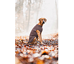 Dog Turtleneck Jumper Maisie