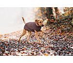 Dog Turtleneck Jumper Maisie