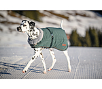 Winter Dog Coat Gizmo with Faux Fur Lining, 200g