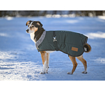 Winter Dog Coat Gizmo with Faux Fur Lining, 200g