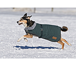 Winter Dog Coat Gizmo with Faux Fur Lining, 200g