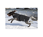 Softshell Dog Coat Cruz with Integrated Harness, 160g