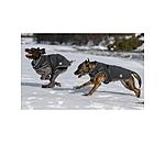 Softshell Dog Coat Cruz with Integrated Harness, 160g