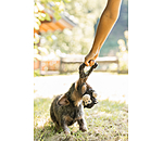 Plush Toy Bounce for Dogs