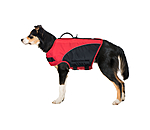 Dog Life Jacket Life Guard