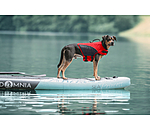 Dog Life Jacket Life Guard