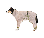 Eczema Dog Coat Tropics