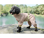Eczema Dog Coat Tropics