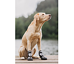 Paw Protection Shoes Dubai for Dogs