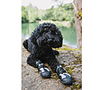 Paw Protection Shoes Dubai for Dogs