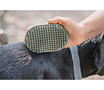 Dog Curry Comb Zeyna