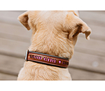 Leather Dog Collar Good Dog