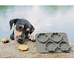Dog Biscuit Silicone Baking Mould
