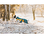 Lightweight Dog Raincoat Alma, 0g