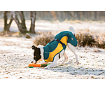 Lightweight Dog Raincoat Alma, 0g