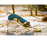Lightweight Dog Raincoat Alma, 0g