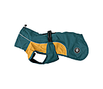 Lightweight Dog Raincoat Alma, 0g