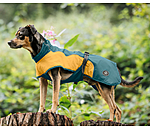 Lightweight Dog Raincoat Alma, 0g
