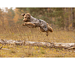 Lightweight Dog Raincoat Alma, 0g